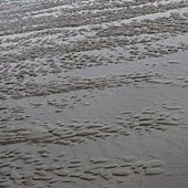 IMG_8276.JPG