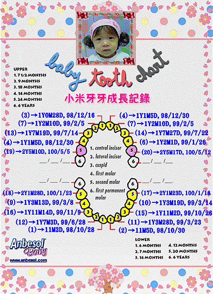 小白1-20_new.gif