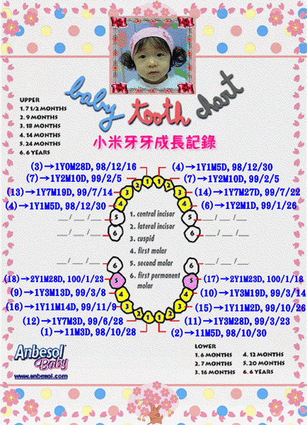小白1-18_new.gif