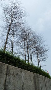 小尺寸-1140873.jpg