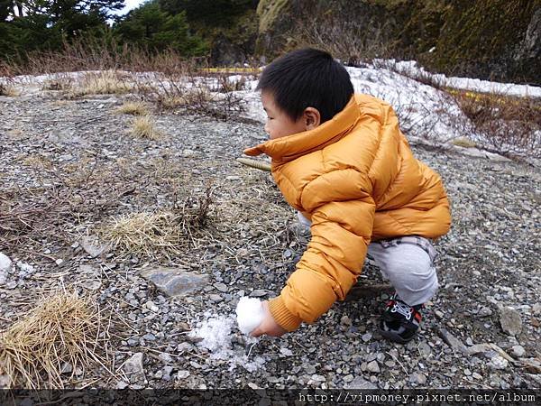 合歡山 117.jpg