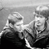 2125415.gif