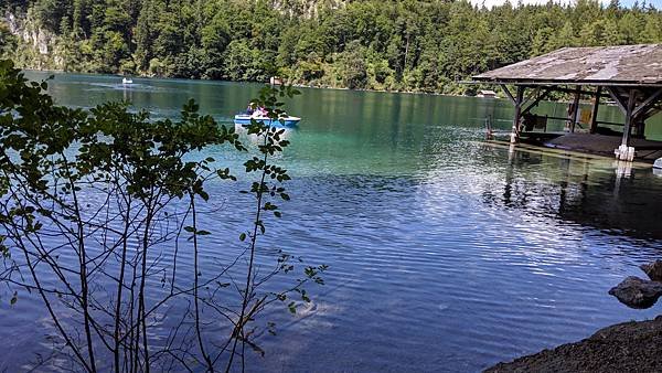 IMG_20190808_133450.jpg