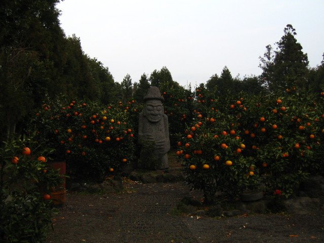 橘子園一景～其實有九成是為了拍照掛上去的假橘子= =&quot;