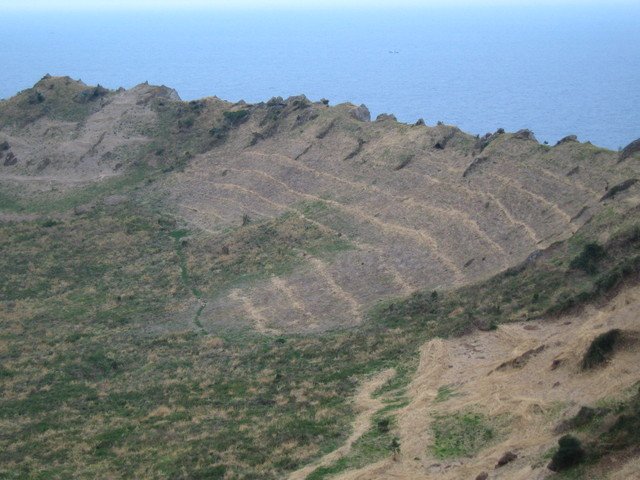 這是死火山的火山口～已經都長出了植物