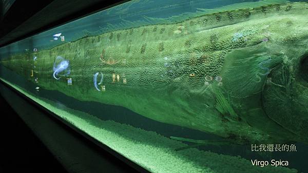 IMG_0259-1.jpg