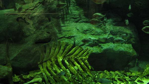 IMG_0287.JPG