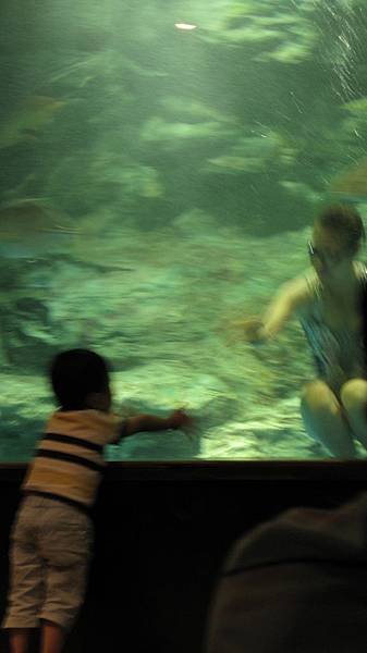 IMG_0297.JPG