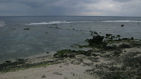 112.JPG