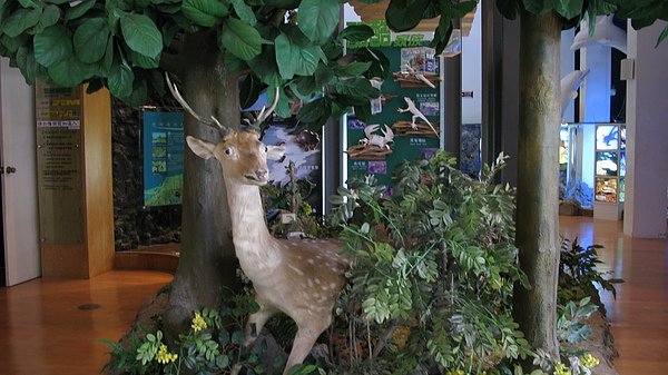 080.JPG