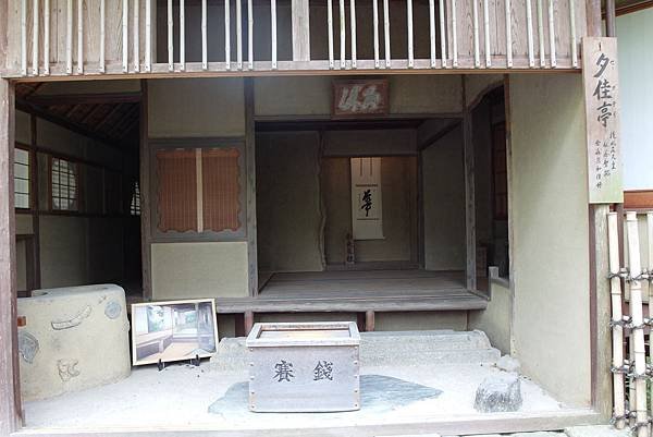 56.JPG