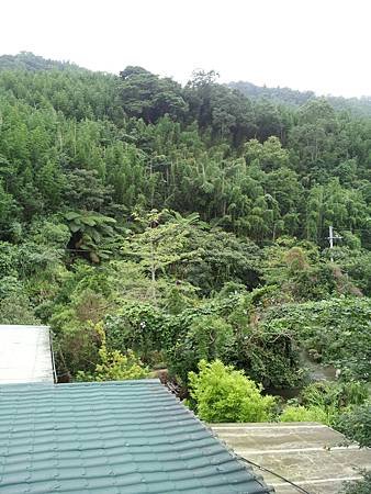 20140531_115435.jpg
