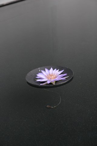 IMG_3706.JPG