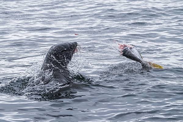 斯瓦科普蒙德、骷髏海岸_180807_0027.jpg