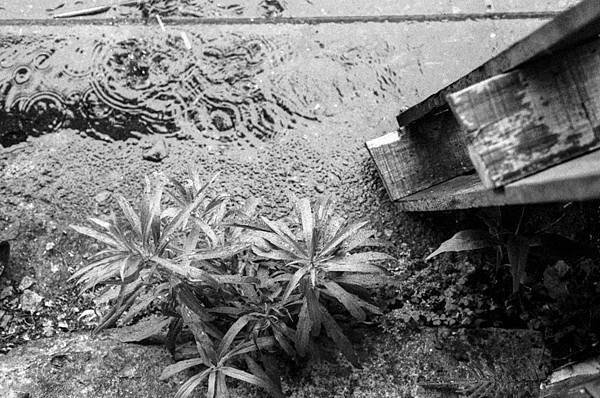 M1705-003-7779-BW-135-Greensheep-車坊-UX400-3200-Nikon_F3-XTOL-STOCK-6M-28C-Rotary-04