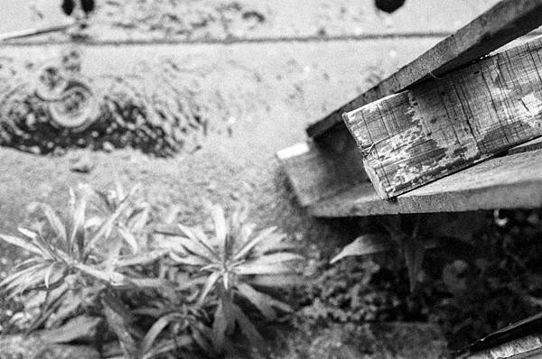 M1705-003-7779-BW-135-Greensheep-車坊-UX400-3200-Nikon_F3-XTOL-STOCK-6M-28C-Rotary-05