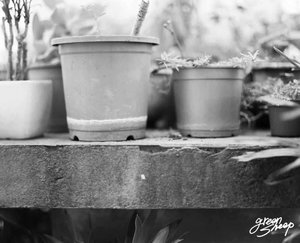 M1710-004-7865-BW-01-120-Greebsgeep-Pentax67-105mm-Fujifilm-Acros-100-HC110-K_type-03.jpg-BLOG-B.jpg