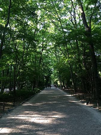 下鴨神社-05.JPG