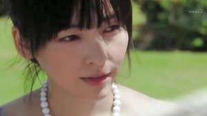 國稅監察官