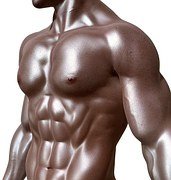 bodybuilder-331670__180