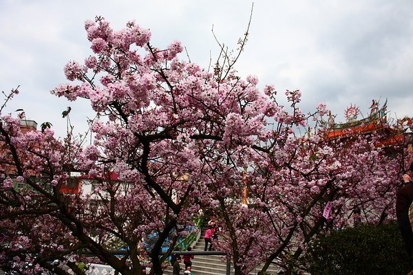 DPP_0086.JPG