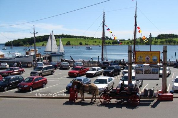 Lunenburg Harbour