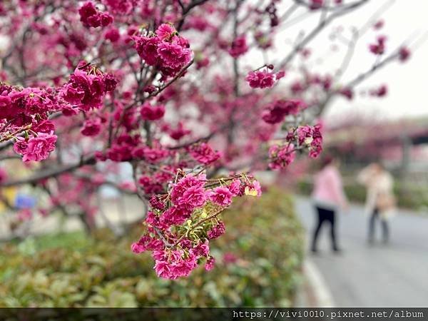 泰安派出所_210225_10.jpg