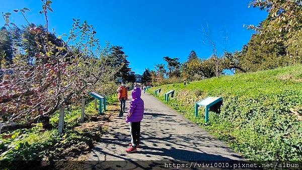 IMG_20211106_083250.jpg