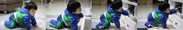IMG_5727-horz.jpg