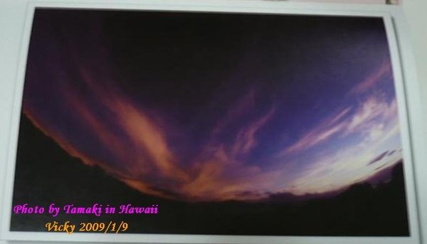 Photo by Tamaki in Hawaii.JPG