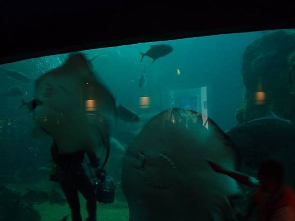 20130521拍攝於水族館042