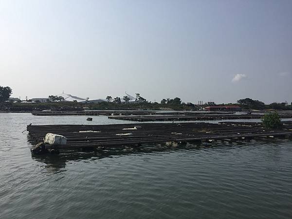 IMG_8923.JPG