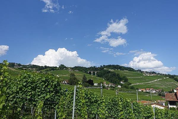 DSC00702 (2).JPG