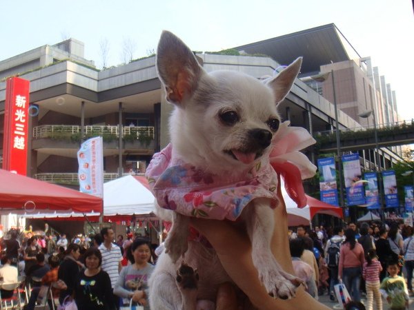 DSC04483.JPG