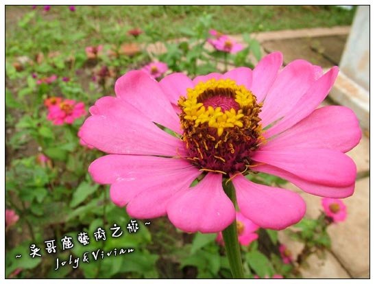 DSCF0601.jpg