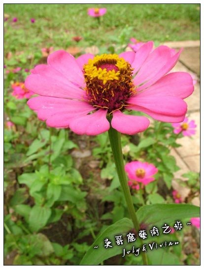DSCF0603.jpg