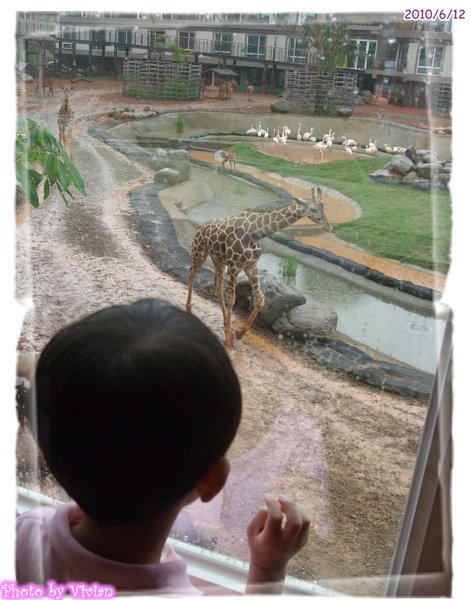 興奮的小Ben