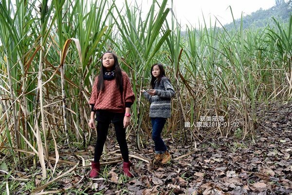 露營 災後重生-達娜伊谷山美部落(下) (嘉義-阿里山鄉)