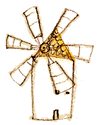 225300664_o
