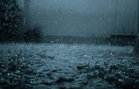 雨