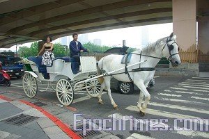 小蠻坐在白色浪漫的馬車上，嫁進伊林.jpg