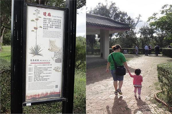 墾丁遊整理檔 (27).jpg