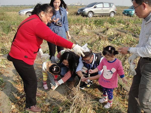 104.01.03磚仔寮採紅豆 (16).JPG