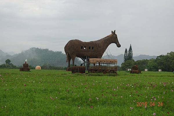 105-04-24走馬瀨熊路跑 (22).JPG