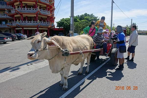 105.05.28-29江家族中彰遊 (29).JPG