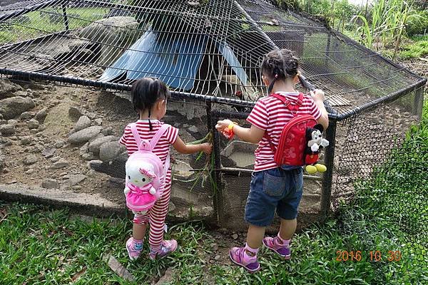 105.10.30台南仙湖農場 (12).JPG