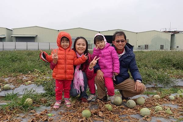 106.02.11元宵節採哈密瓜+香腸博物館做湯圓 (11).JPG