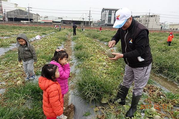 106.02.11元宵節採哈密瓜+香腸博物館做湯圓 (14).JPG