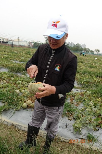 106.02.11元宵節採哈密瓜+香腸博物館做湯圓 (20).JPG