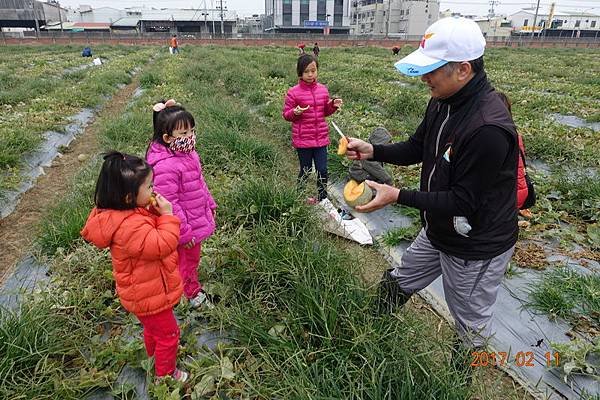 106.02.11元宵節採哈密瓜+香腸博物館做湯圓 (22).JPG